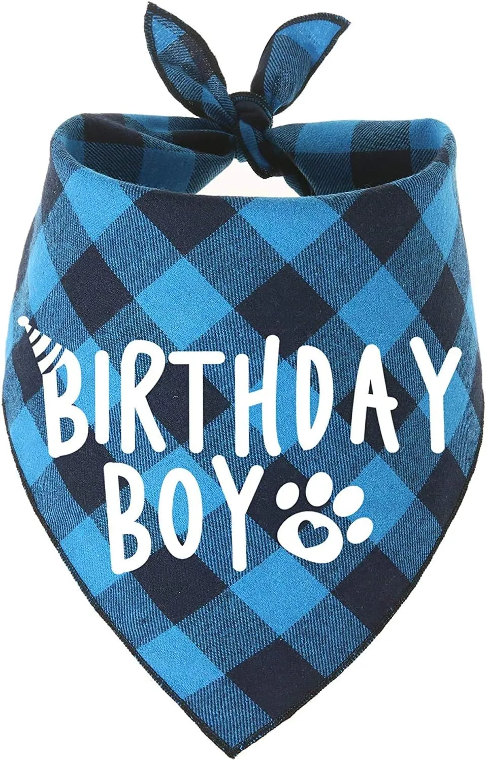 Dog Birthday Bandana Boy